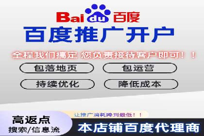 百度竞价排名实战：某行业领先企业的成功之路